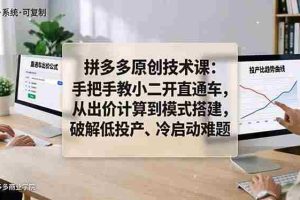 （18159期）拼多多原创技术课：手把手教小二开直通车，从出价计算到模式搭建，破解低投产、冷启动难题