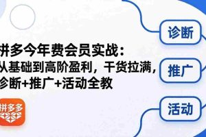 （18407期）拼多多年费会员实战(更新26年5月11)：从基础到高阶盈利，干货拉满，诊断+推广+活动全教