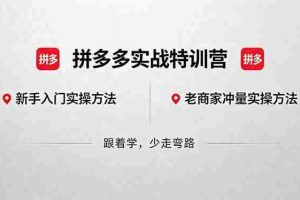 （18468期）拼多多实战特训营(更新5月15)：不管是新手入门或老商家冲量，都有实操方法，跟着学，少走弯路