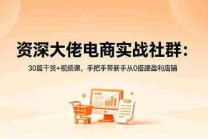 （18529期）资深大佬电商实战社群：30篇干货+视频课，手把手带新手从0搭建盈利店铺